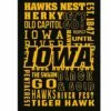 New ❤️ Evergreen Iowa Hawkeyes Outdoor Flag 😀