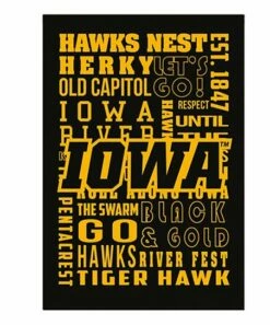 New ❤️ Evergreen Iowa Hawkeyes Outdoor Flag 😀