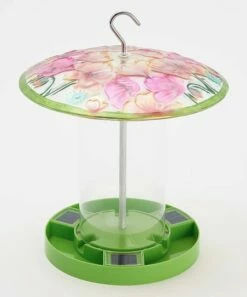 Budget 🧨 Evergreen Green Solar Butterfly Bird Feeder 🤩