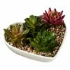 Outlet 🎉 Evergreen White & Green Ceramic Heart Dish With Succulent Table Décor ⌛