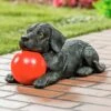 Best reviews of 🛒 Evergreen 12" Black & Red Labrador & Ball Statue 💯