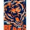 Wholesale ⭐ Evergreen Orange & Navy Chicago Bears Justin Patten Suede Outdoor Flag 🧨