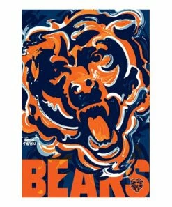 Wholesale ⭐ Evergreen Orange & Navy Chicago Bears Justin Patten Suede Outdoor Flag 🧨