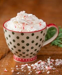 Flash Sale 😀 Evergreen Strawberry Red & Green Dot Cup 🧨