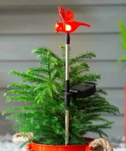 Cheap 🎁 Evergreen Red Cardinal Solar Plant Pick - Set Of 12 🎉
