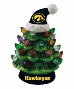 Budget 🎁 Evergreen Iowa Hawkeyes Green Tree & Santa Hat LED Light-Up Ornament ❤️