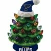 Top 10 ⌛ Evergreen St Louis Blues Green Tree & Santa Hat LED Light-Up Ornament 😉
