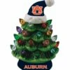 Best Sale 🛒 Evergreen Auburn University Green Tree & Santa Hat LED Light-Up Ornament 😍