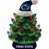 New ⌛ Evergreen Pennsylvania State University Green Tree & Santa Hat LED Light-Up Ornament 🤩