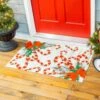 Flash Sale 🧨 Evergreen White & Red 🍬 Candy Canes Doormat 👏