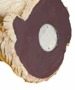 Wholesale 🤩 Evergreen Golden Retriever Santa Hat Garden Statue 🌟 -Outlet Evergreen Shop zu107149859 alt 2 tm1658512656