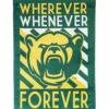 Cheapest 💯 Evergreen Baylor Bears Green 'Forever' Outdoor Flag 😍