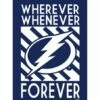 New ❤️ Evergreen Tampa Bay Lightning 'Whenever' Outdoor Flag ⌛