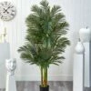Best deal 🔔 Nearly Natural 6' Triple Stalk Golden Cane Palm Tree Décor ❤️