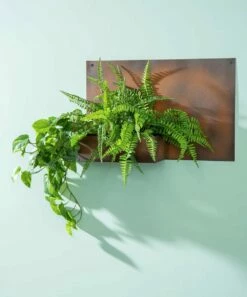 Best Sale ⌛ Evergreen Rust Finish Metal Wall Planter 🎉 -Outlet Evergreen Shop zu34999899 alt 2 tm1658420912