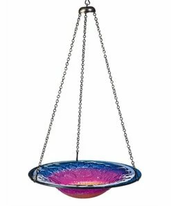 Brand new 🎉 Evergreen Sunrise Glass Hanging Birdbath 👍 -Outlet Evergreen Shop zu35020670 main tm1461857355