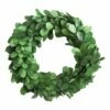 New 🤩 Hello Honey Green 6'' Boxwood Wreath 🛒