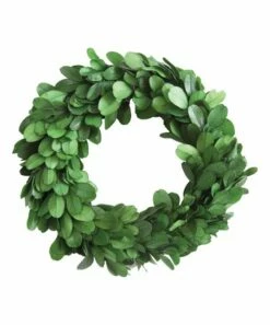 New 🤩 Hello Honey Green 6'' Boxwood Wreath 🛒