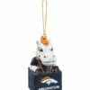 Discount 😍 Evergreen Denver Broncos Mascot Ornament ⌛