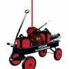 Best deal 😉 Evergreen Chicago Blackhawks Wagon Ornament 👍