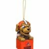 Promo 😍 Evergreen Cleveland Browns Mascot Ornament 👍