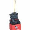 Deals 🧨 Evergreen Houston Texans Mascot Ornament 🧨