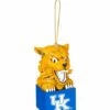New 😉 Evergreen Kentucky Wildcats Mascot Ornament ⌛