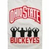 Buy 🌟 Evergreen Ohio State Buckeyes Appliqué Outdoor Flag ⌛