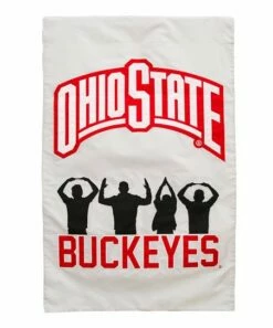Buy 🌟 Evergreen Ohio State Buckeyes Appliqué Outdoor Flag ⌛