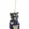 Outlet 🤩 Evergreen Washington Huskies Mascot Statue Ornament 🤩