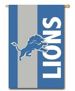 Buy 😀 Evergreen Detroit Lions Embellished Outdoor Flag 🤩