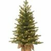 Coupon 🎁 3' Lighted Nordic Spruce Evergreen Tree 😉