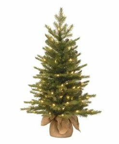 Coupon 🎁 3' Lighted Nordic Spruce Evergreen Tree 😉