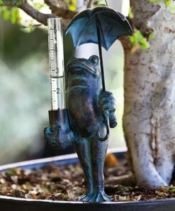 Budget 🌟 Evergreen Frog Decorative Rain Gauge 🎉