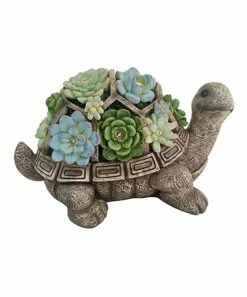 Cheap 💯 Evergreen Gray & Green Succulent Solar Light-Up Turtle Figurine 😍 -Outlet Evergreen Shop zu73293107 main tm1558716450