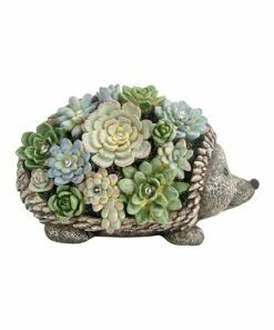 Discount 😍 Evergreen Green Succulent Solar Hedgehog Statue 🧨