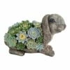 Cheapest 🧨 Evergreen Gray & Green Succulent Solar Light-Up Rabbit Figurine ⭐