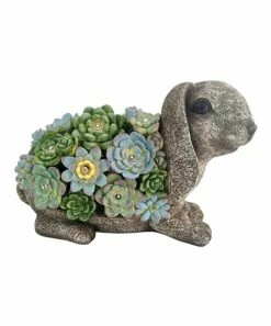Cheapest 🧨 Evergreen Gray & Green Succulent Solar Light-Up Rabbit Figurine ⭐