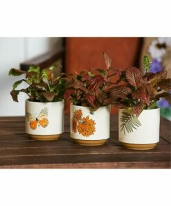 New ⭐ Evergreen Harvest Ceramic Cachepot - Set Of Three 😀 -Outlet Evergreen Shop zu73668032 alt 5 tm1658421165