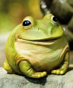 Buy 💯 Evergreen Cheerful Portly Frog Statue 👍