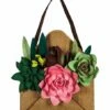 Brand new 👍 Evergreen Brown Envelope Of Succulents Door Hanger ✨