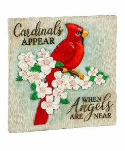 Top 10 🥰 Evergreen 'Cardinals Appear When Angels Are Near' Garden Stone 🎁