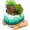 Flash Sale 🛒 Evergreen Green & Blue Succulent Ceramic Turtle Planter ✔️