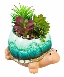 Flash Sale 🛒 Evergreen Green & Blue Succulent Ceramic Turtle Planter ✔️