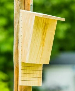 Cheap 🥰 Evergreen Natural Wood Bat House 💯