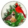Brand new 😉 Evergreen Green & Red Embossed Cardinals & Winter Spruce Glass Birdbath 🛒