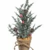 Cheapest ✔️ Evergreen Blue & Red Snow-Crested Topiary 🔔