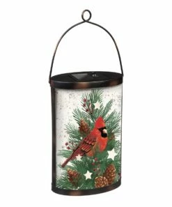 Discount 😉 Evergreen Cardinal & Winter Spruce Solar Glass Lantern ✔️