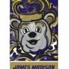 Best Sale ❤️ Evergreen James Madison Dukes Purple Justin Patten Outdoor Flag ✔️