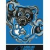 Best Sale 🛒 Evergreen Carolina Panthers Blue Justin Patten Outdoor Flag 🥰